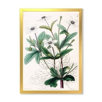 Дизайнарт' Древен растителен живот Хси ' традиционна рамка Арт Принт